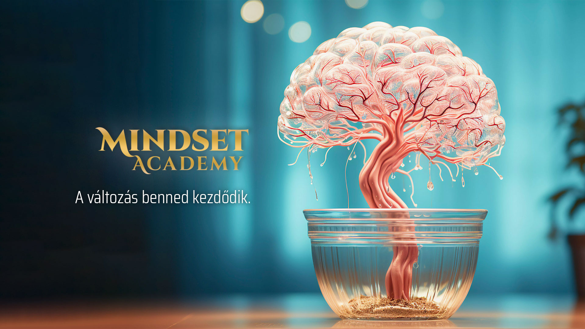 Mindset Academy Hungary - Mindset Academy